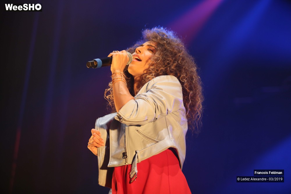 19/28 photos du spectacle François Feldman