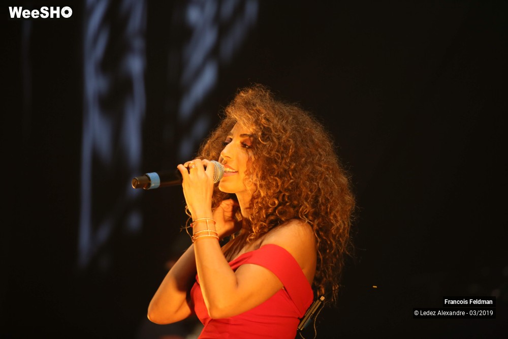 23/28 photos du spectacle François Feldman