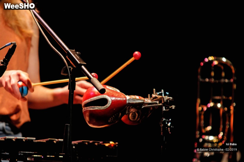 28/38 photos du spectacle Ici Baba "Ma Mie Foret"