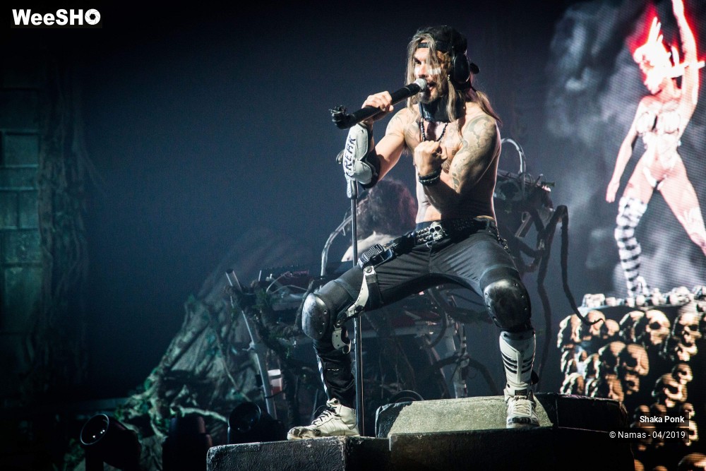 14/20 photos du spectacle Shaka Ponk