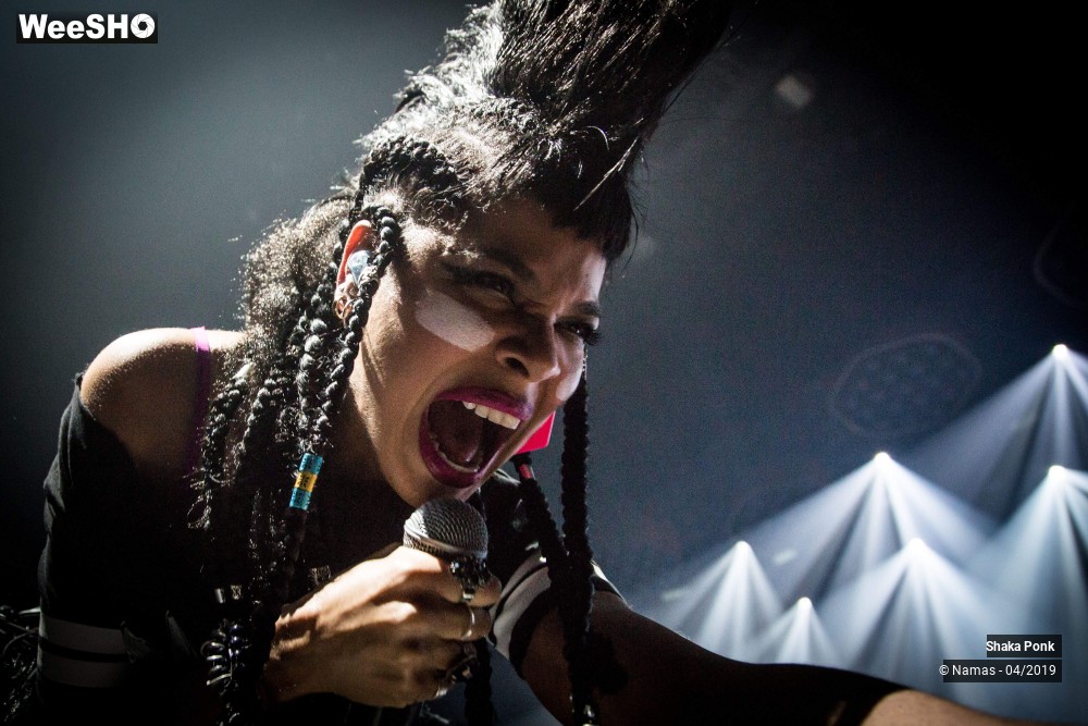 17/20 photos du spectacle Shaka Ponk