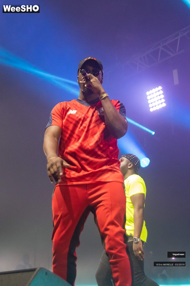 6/50 photos du spectacle Vegedream & la synesia