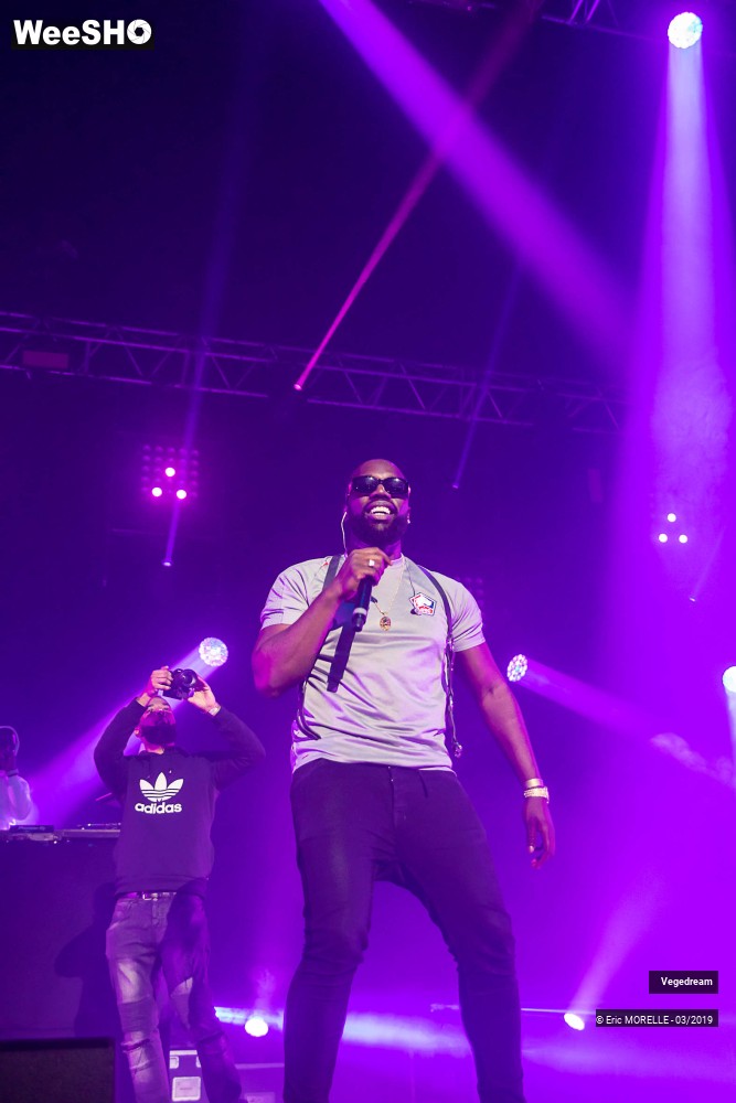 7/50 photos du spectacle Vegedream & la synesia
