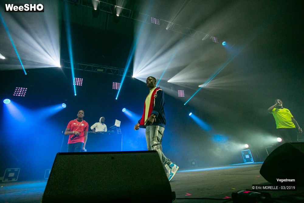 12/50 photos du spectacle Vegedream & la synesia