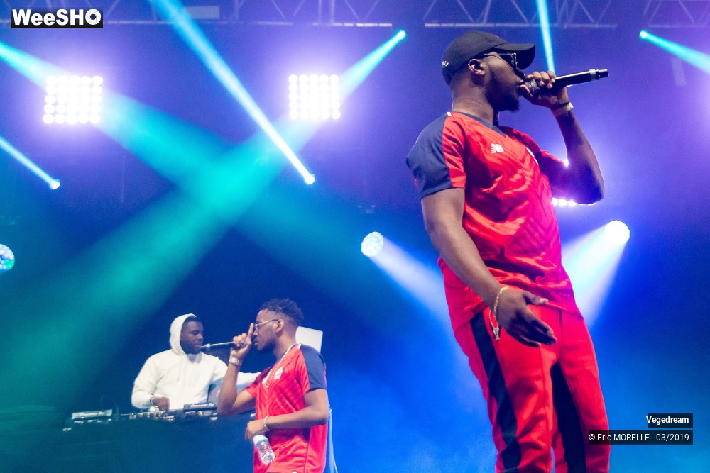 13/50 photos du spectacle Vegedream & la synesia