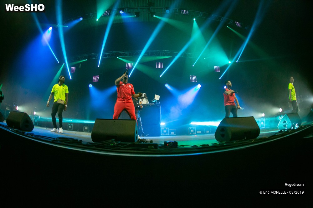 16/50 photos du spectacle Vegedream & la synesia