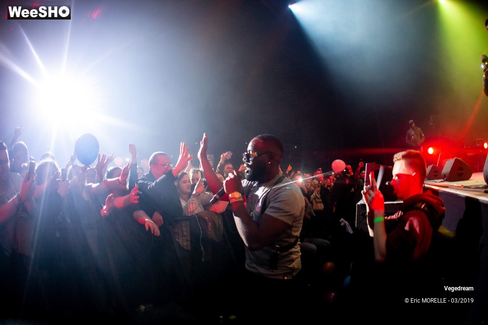 24/50 photos du spectacle Vegedream & la synesia