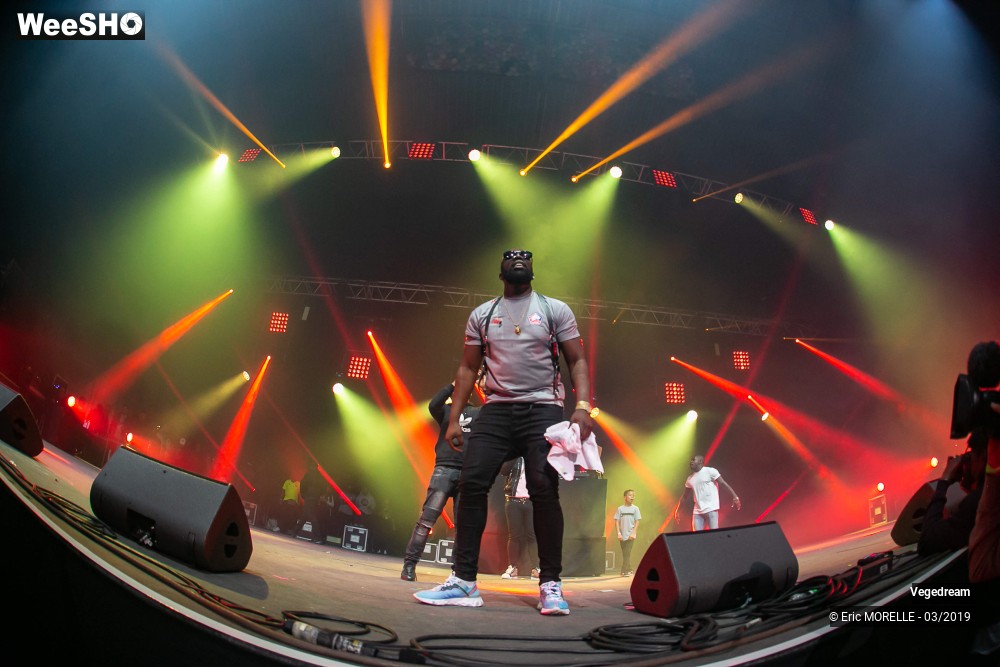 25/50 photos du spectacle Vegedream & la synesia