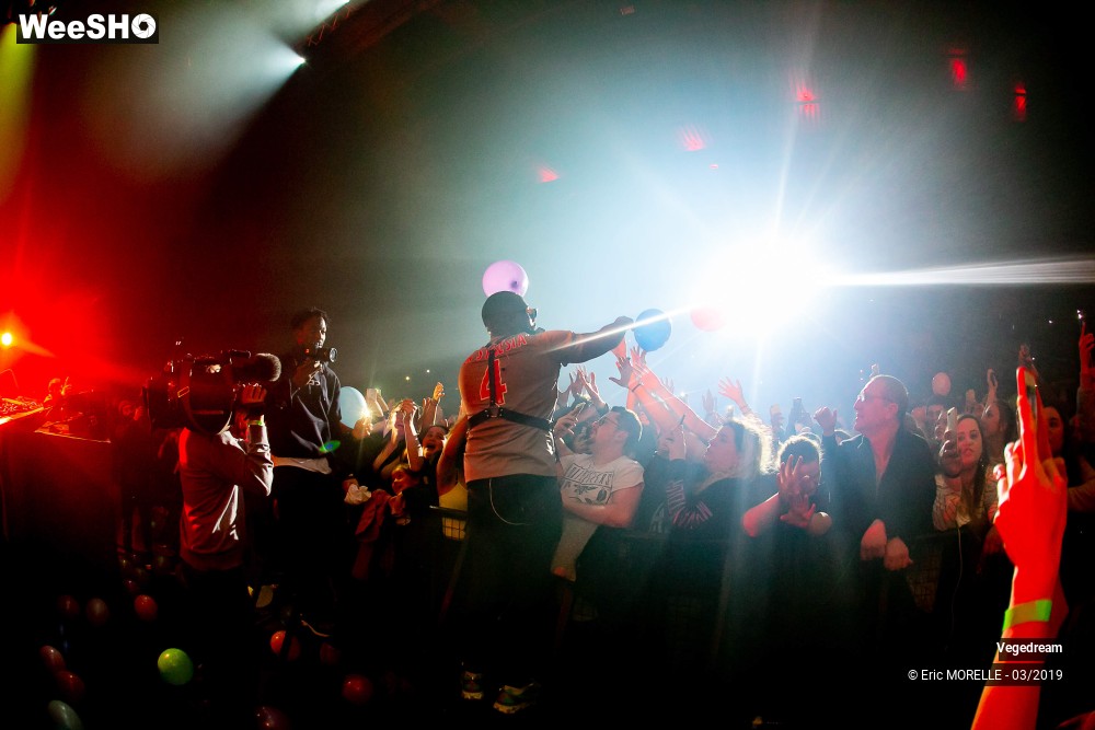 28/50 photos du spectacle Vegedream & la synesia