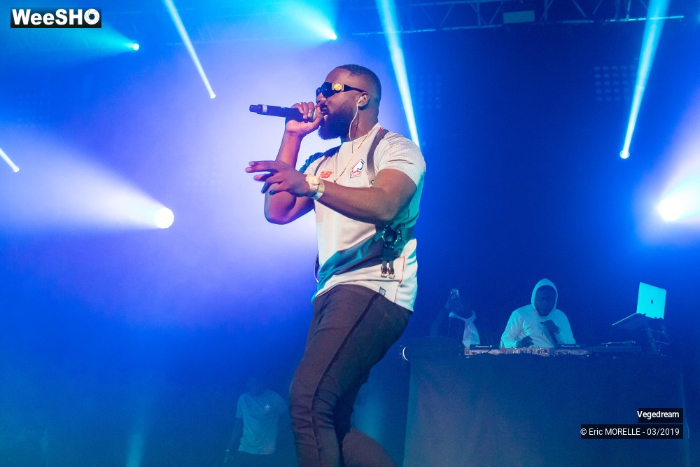30/50 photos du spectacle Vegedream & la synesia