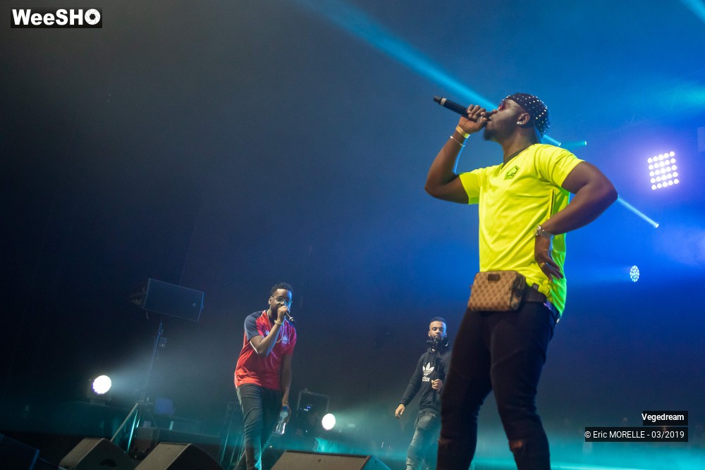 31/50 photos du spectacle Vegedream & la synesia