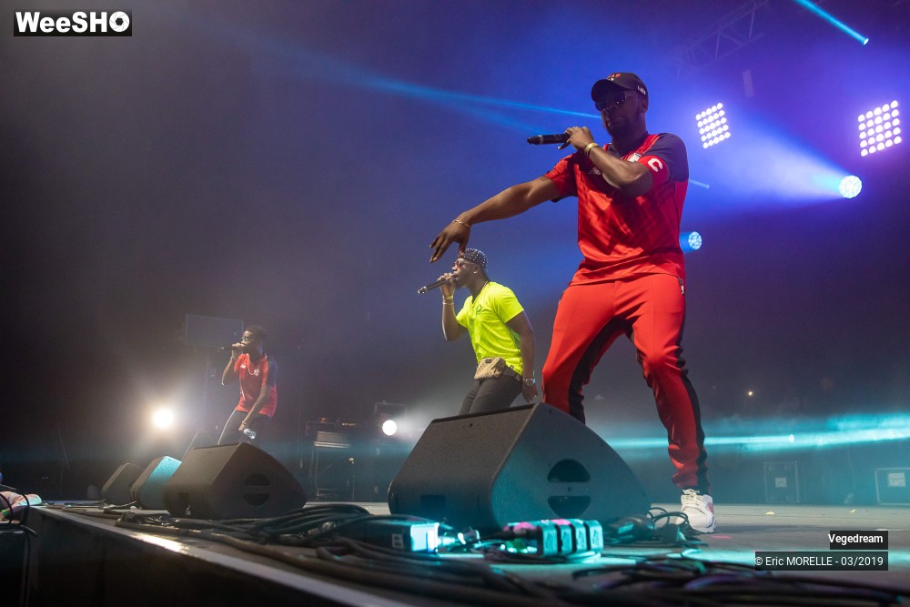 33/50 photos du spectacle Vegedream & la synesia