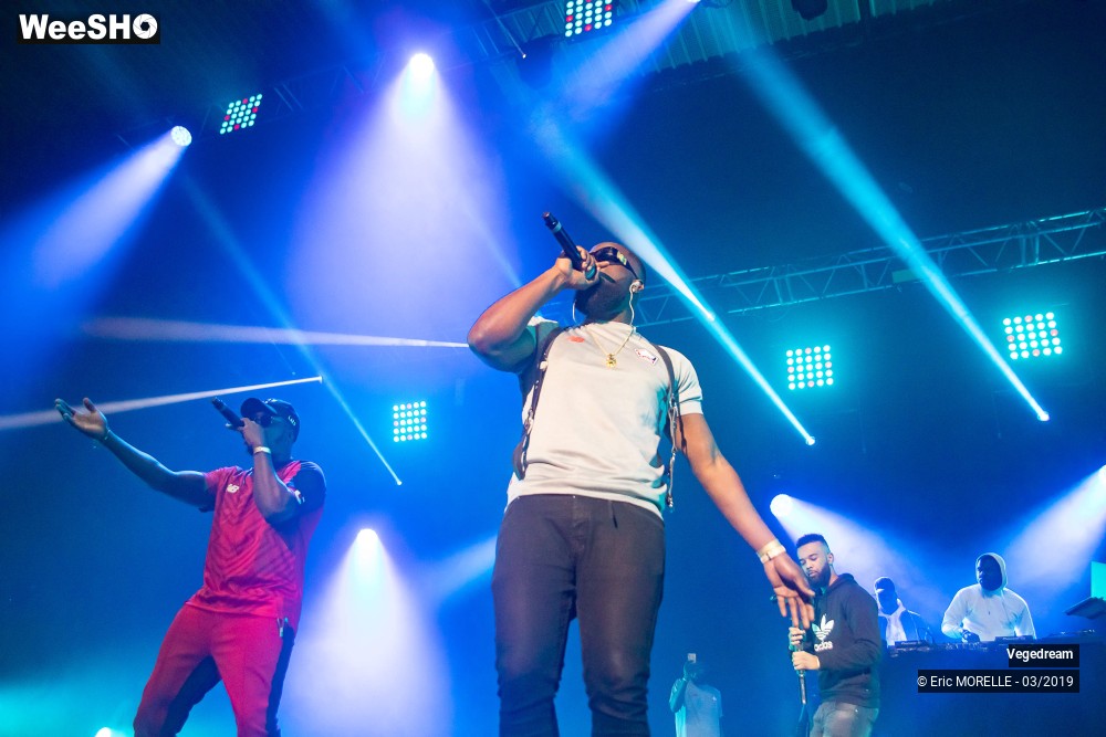 35/50 photos du spectacle Vegedream & la synesia