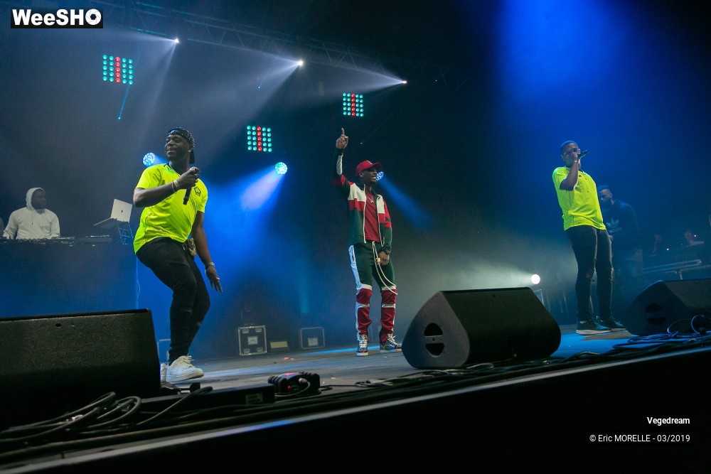 40/50 photos du spectacle Vegedream & la synesia
