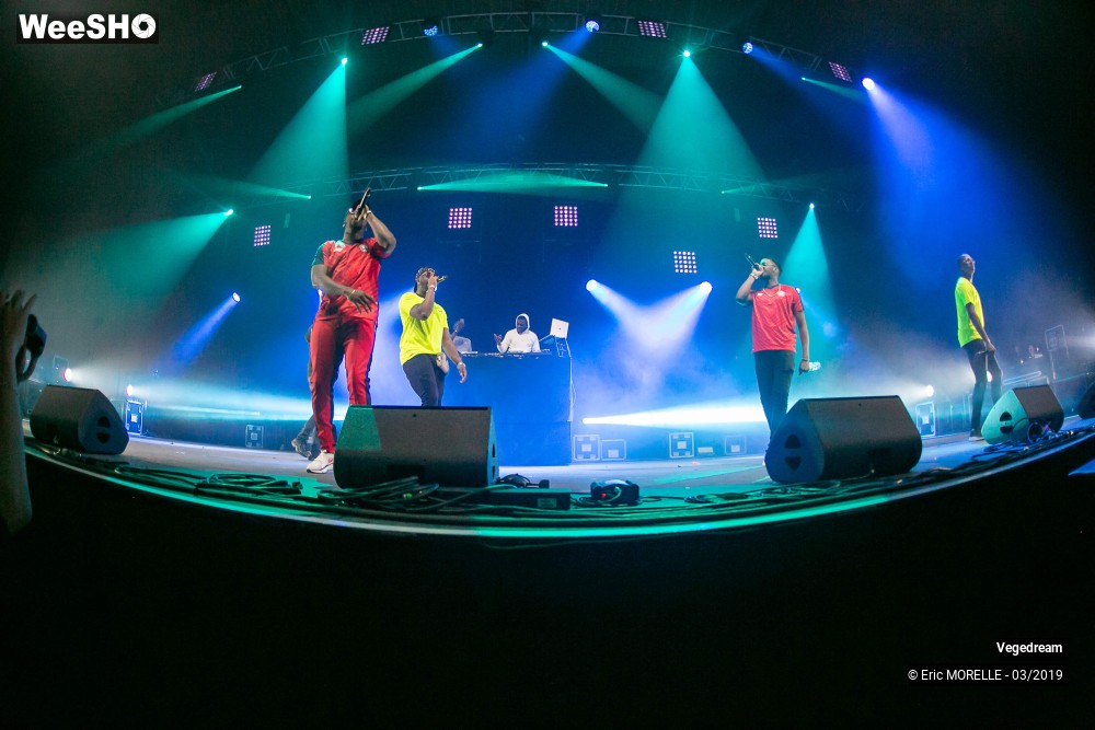 41/50 photos du spectacle Vegedream & la synesia