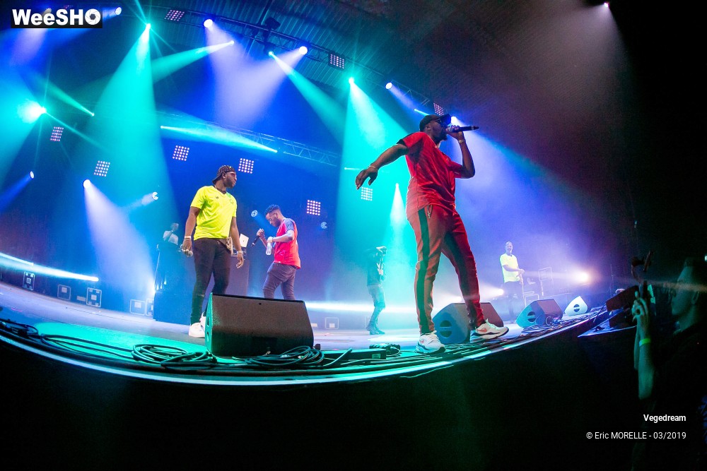 44/50 photos du spectacle Vegedream & la synesia