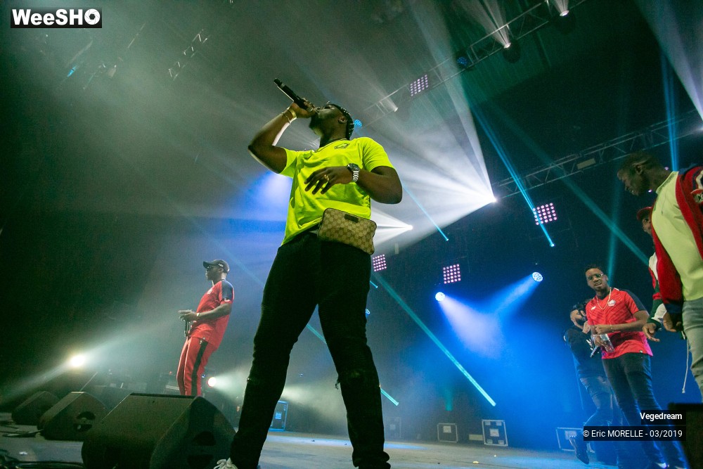 46/50 photos du spectacle Vegedream & la synesia