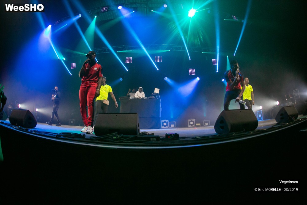 48/50 photos du spectacle Vegedream & la synesia