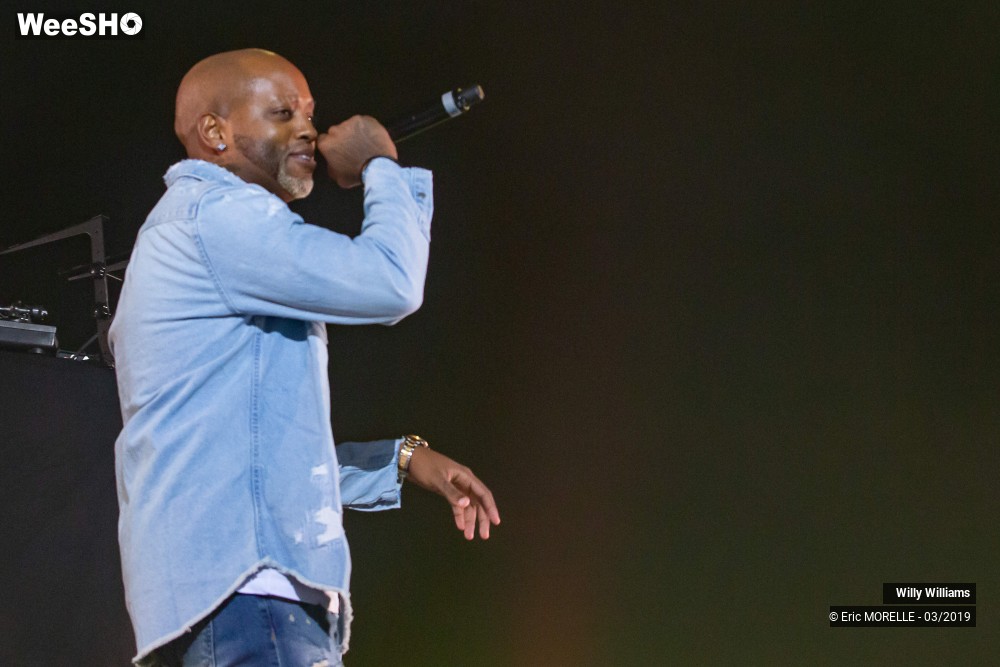 28/50 photos du spectacle Willy Williams