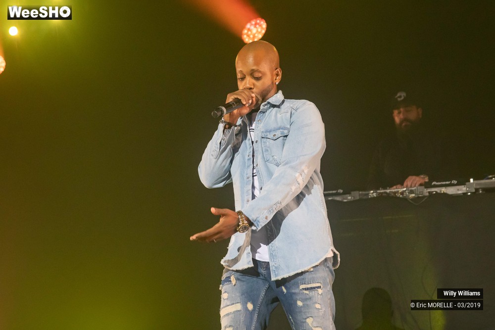 29/50 photos du spectacle Willy Williams