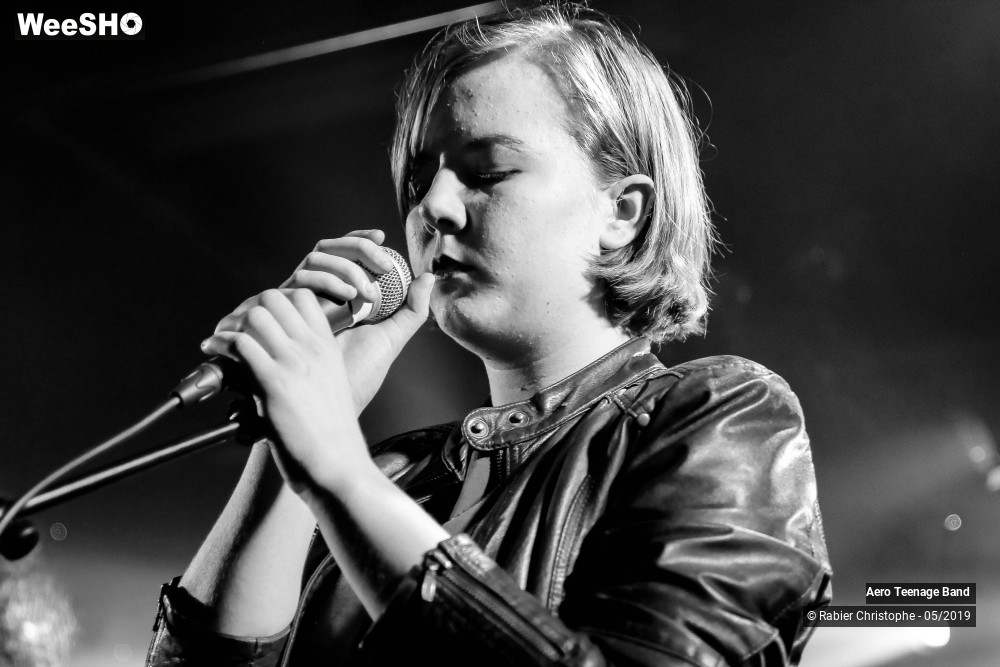 16/50 photos du spectacle Aero Teenage Band