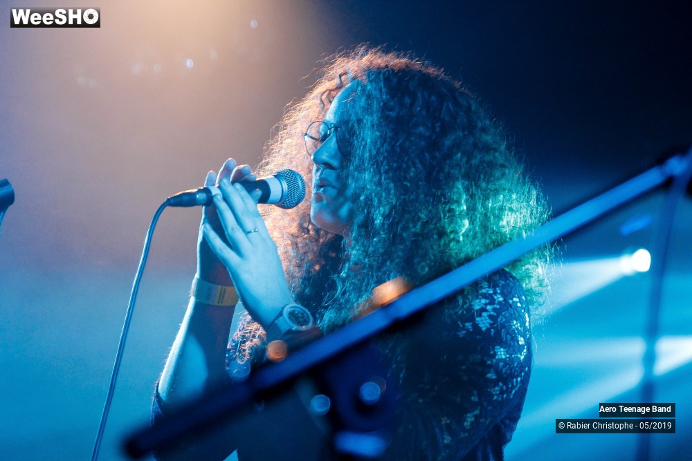 22/50 photos du spectacle Aero Teenage Band