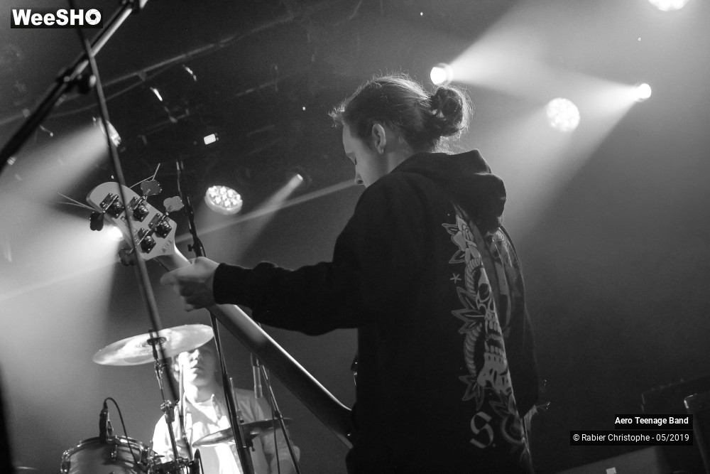30/50 photos du spectacle Aero Teenage Band