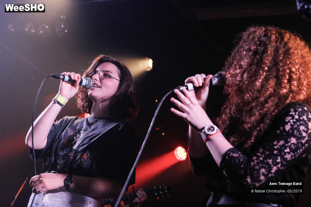 32/50 photos du spectacle Aero Teenage Band