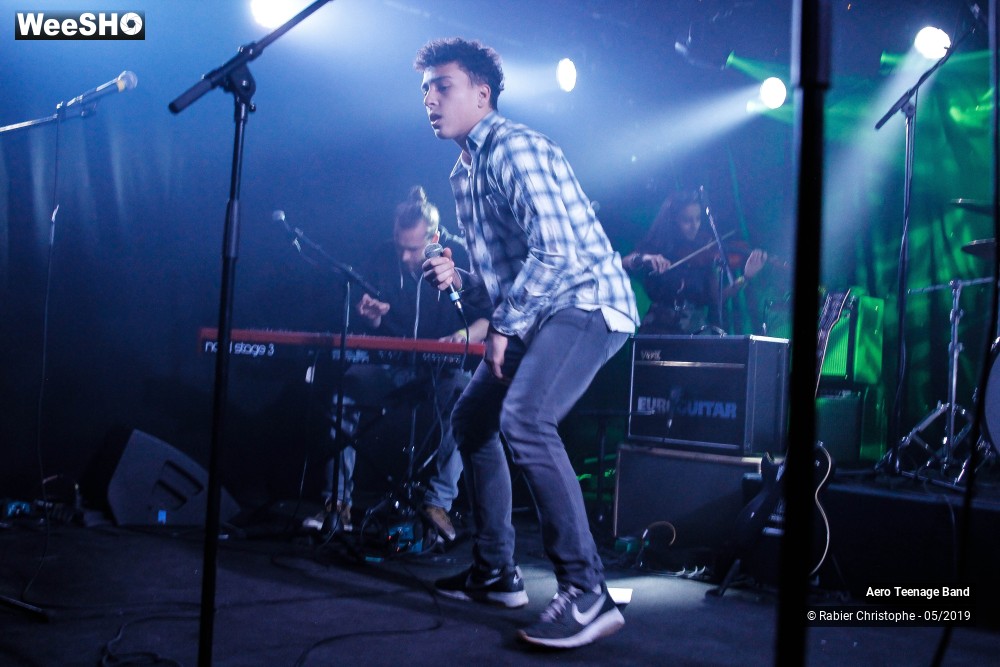 35/50 photos du spectacle Aero Teenage Band