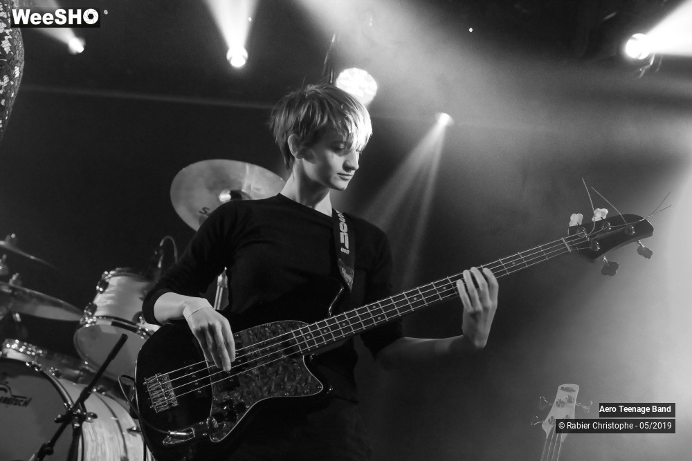 36/50 photos du spectacle Aero Teenage Band