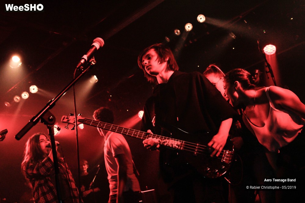 44/50 photos du spectacle Aero Teenage Band