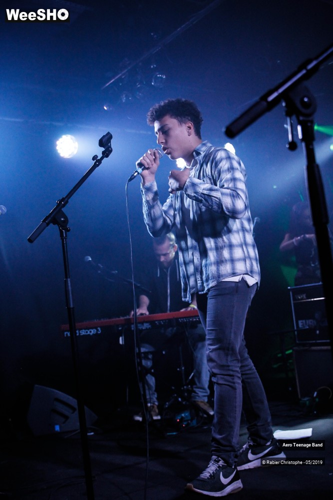 17/51 photos du spectacle Aero Teenage Band
