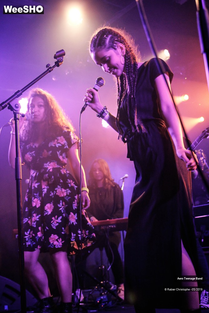 25/51 photos du spectacle Aero Teenage Band
