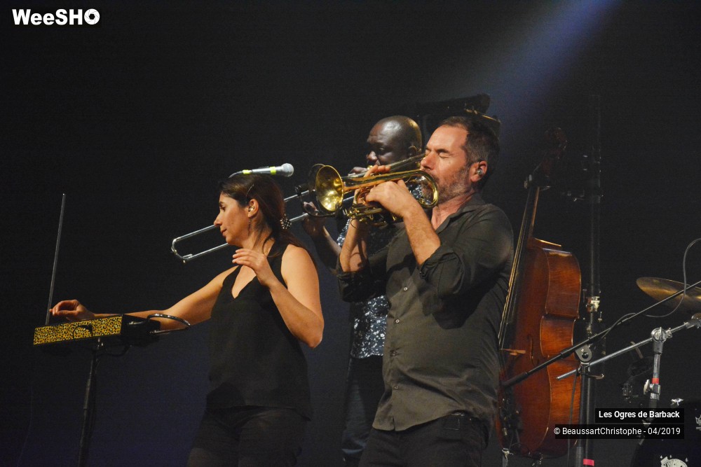 22/51 photos du spectacle Les Ogres de Barback