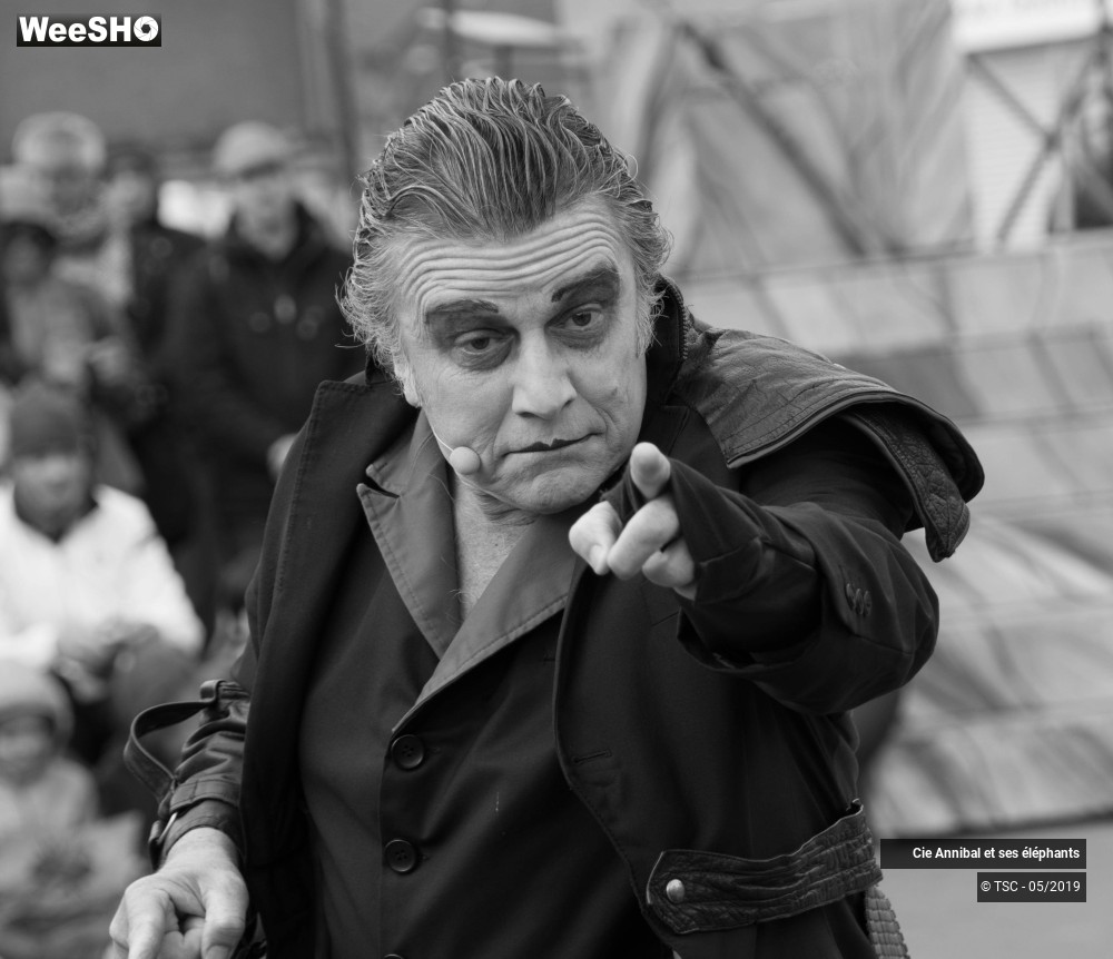 6/28 photos du spectacle Les Grand Cirque des Sondages