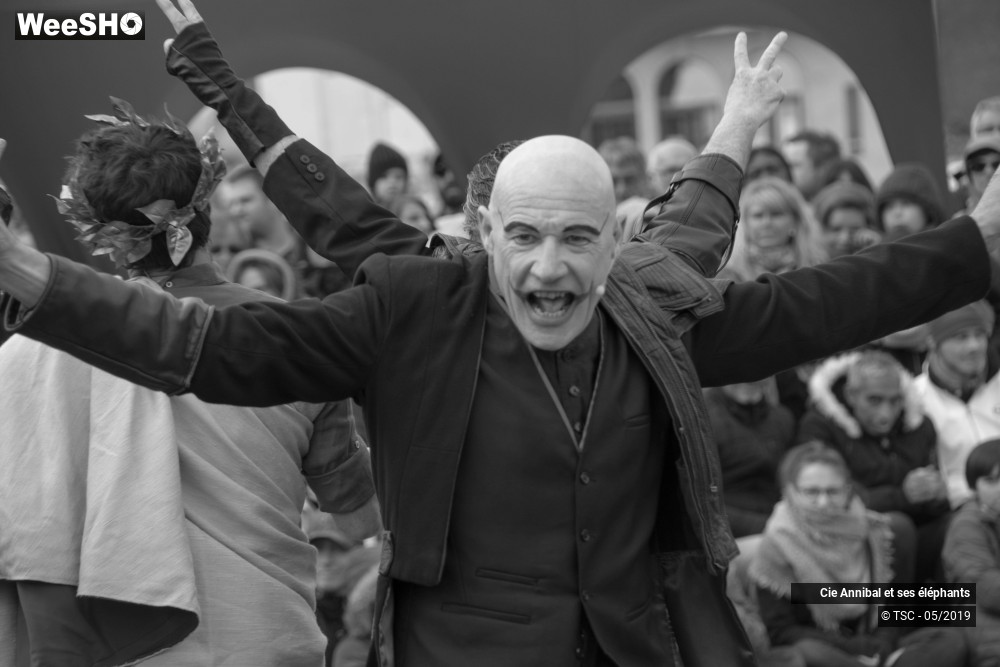 17/28 photos du spectacle Les Grand Cirque des Sondages