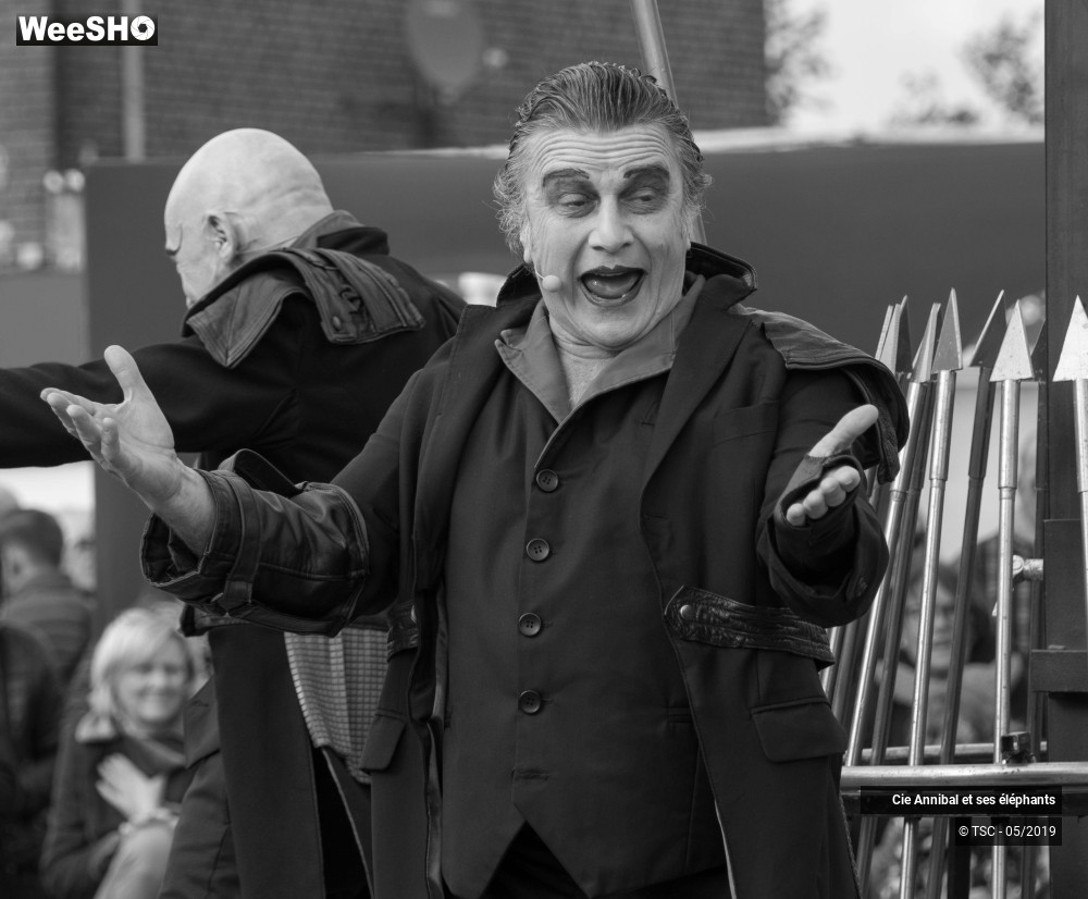 18/28 photos du spectacle Les Grand Cirque des Sondages