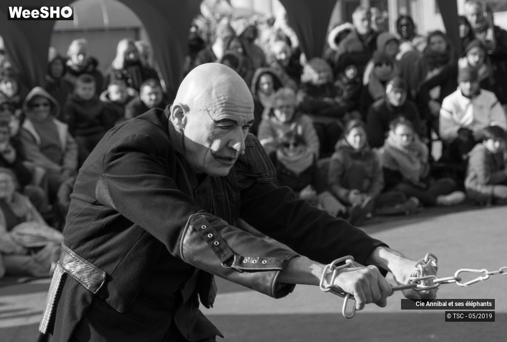 24/28 photos du spectacle Les Grand Cirque des Sondages