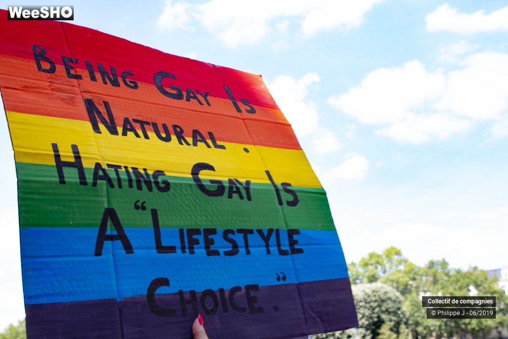29/34 photos du spectacle Gay Pride 2019 #2