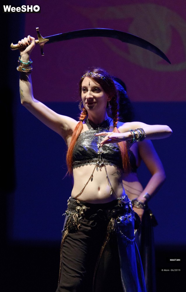 4/38 photos du spectacle Memories of India