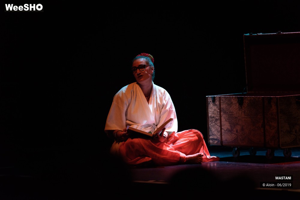 8/38 photos du spectacle Memories of India