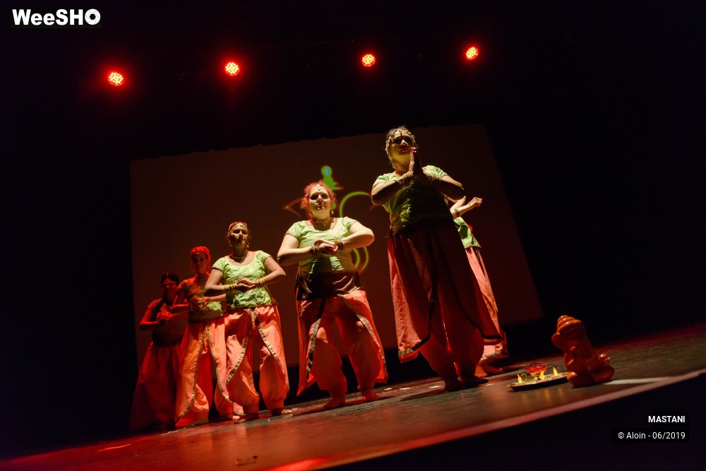 22/38 photos du spectacle Memories of India