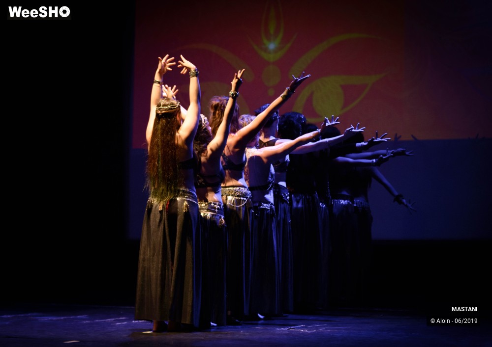 26/38 photos du spectacle Memories of India