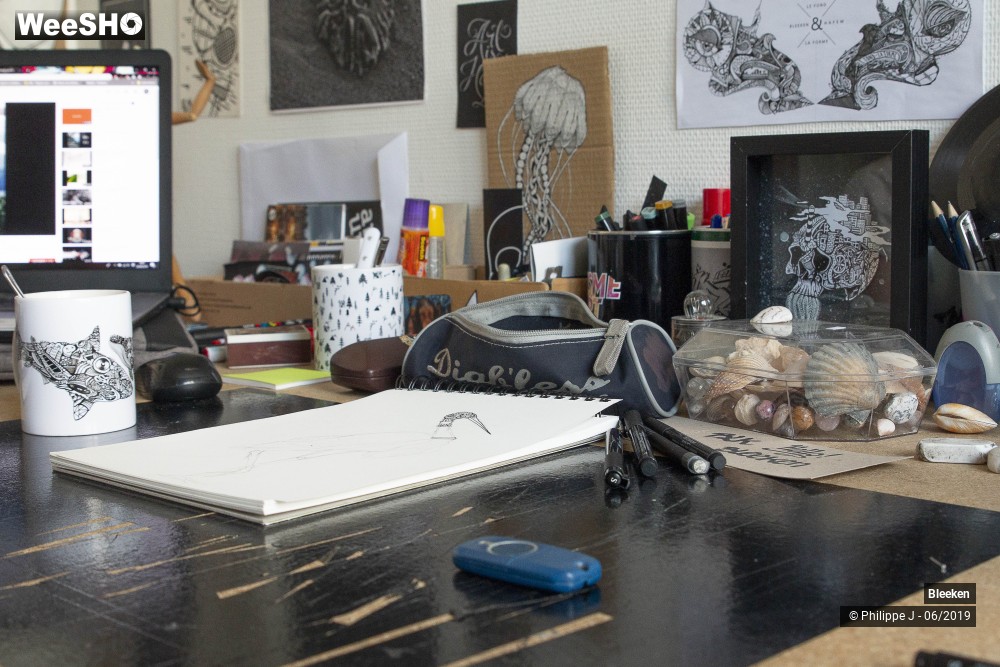 1/12 photos du spectacle Bleeken