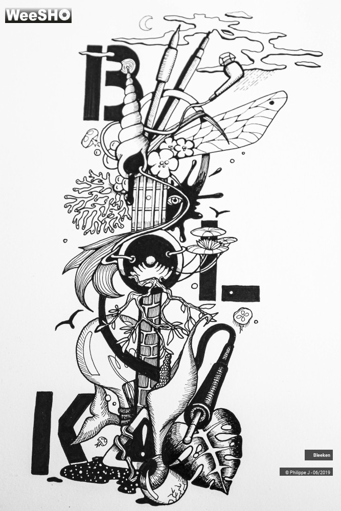 2/12 photos du spectacle Bleeken