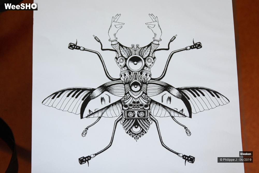 5/12 photos du spectacle Bleeken