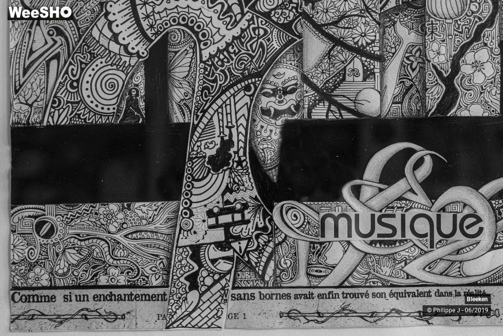 8/12 photos du spectacle Bleeken