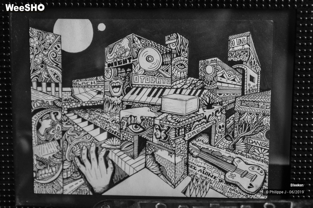 9/12 photos du spectacle Bleeken