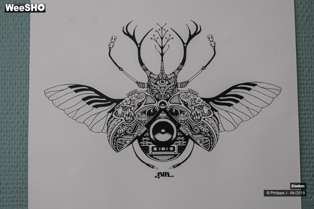 10/12 photos du spectacle Bleeken