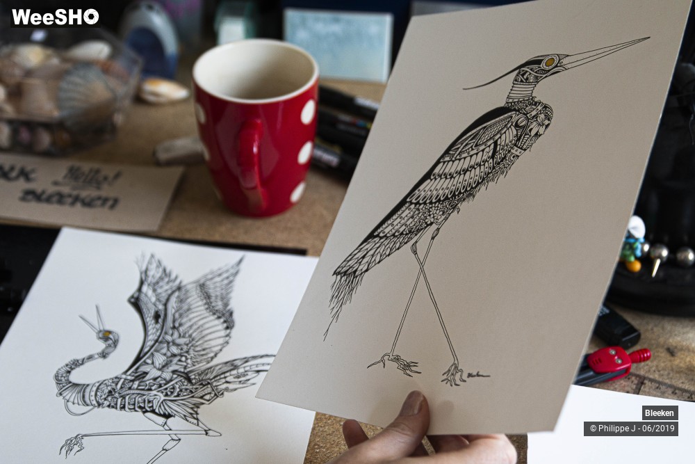 11/12 photos du spectacle Bleeken